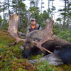 Remote Wilderness Trophy Moose   - Eastern Canada - 1174