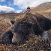 Alaska bear hunt