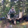 Moose hunt in British Columbia