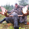 Moose hunt in British Columbia