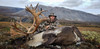 Mountain caribou in Northwest Territories.