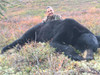 Black bear hunt in Alaska.