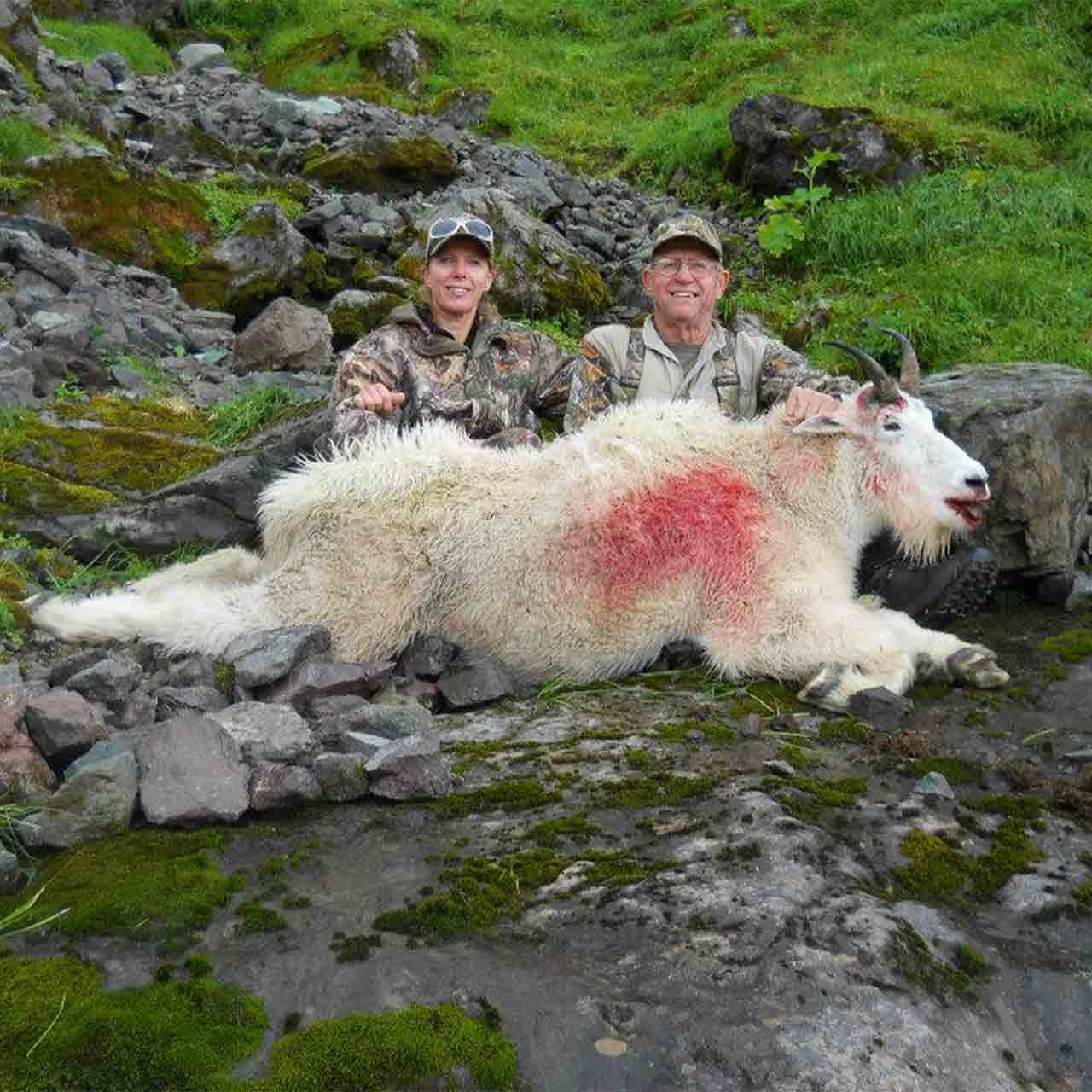 Mountain Goat hunting in Alaska