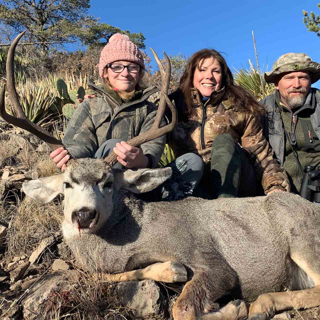 Mule deer hunt in Texas