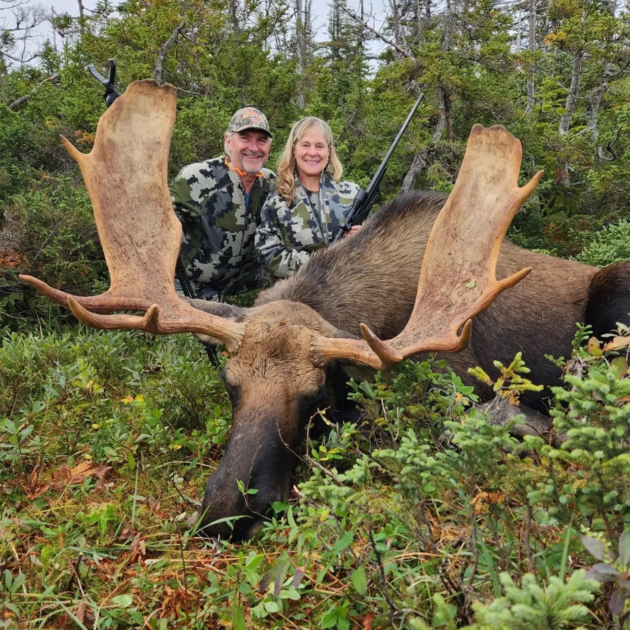 Eastern Canada moose hunt