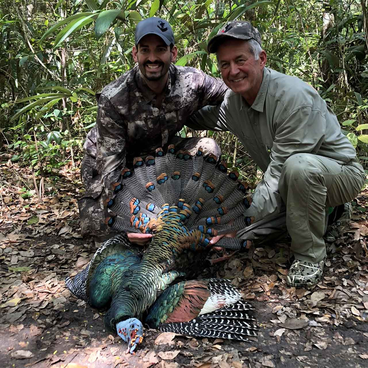 Ocellated Turkey Hunt in South Mexico