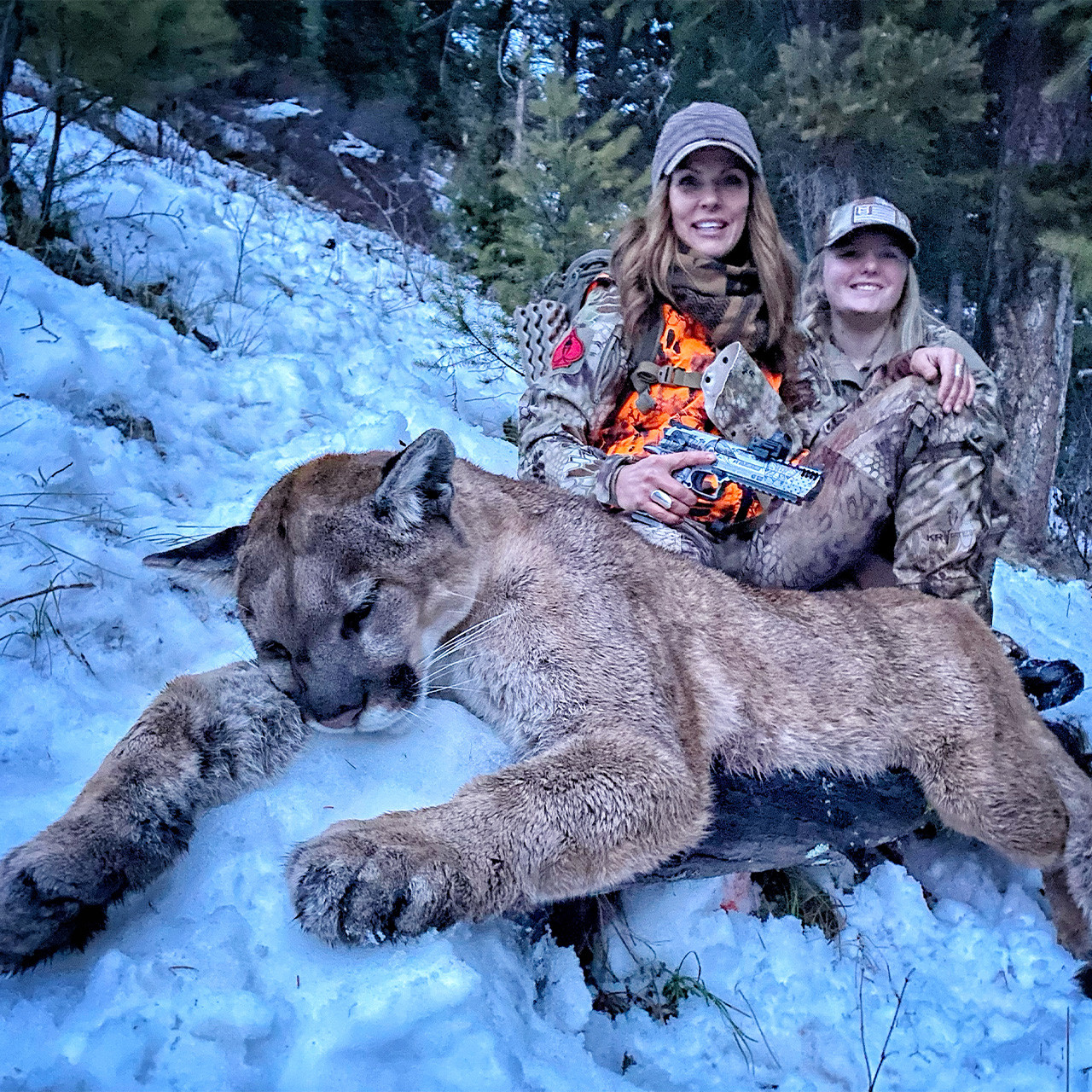 Mountain Lion, Montana - 1192