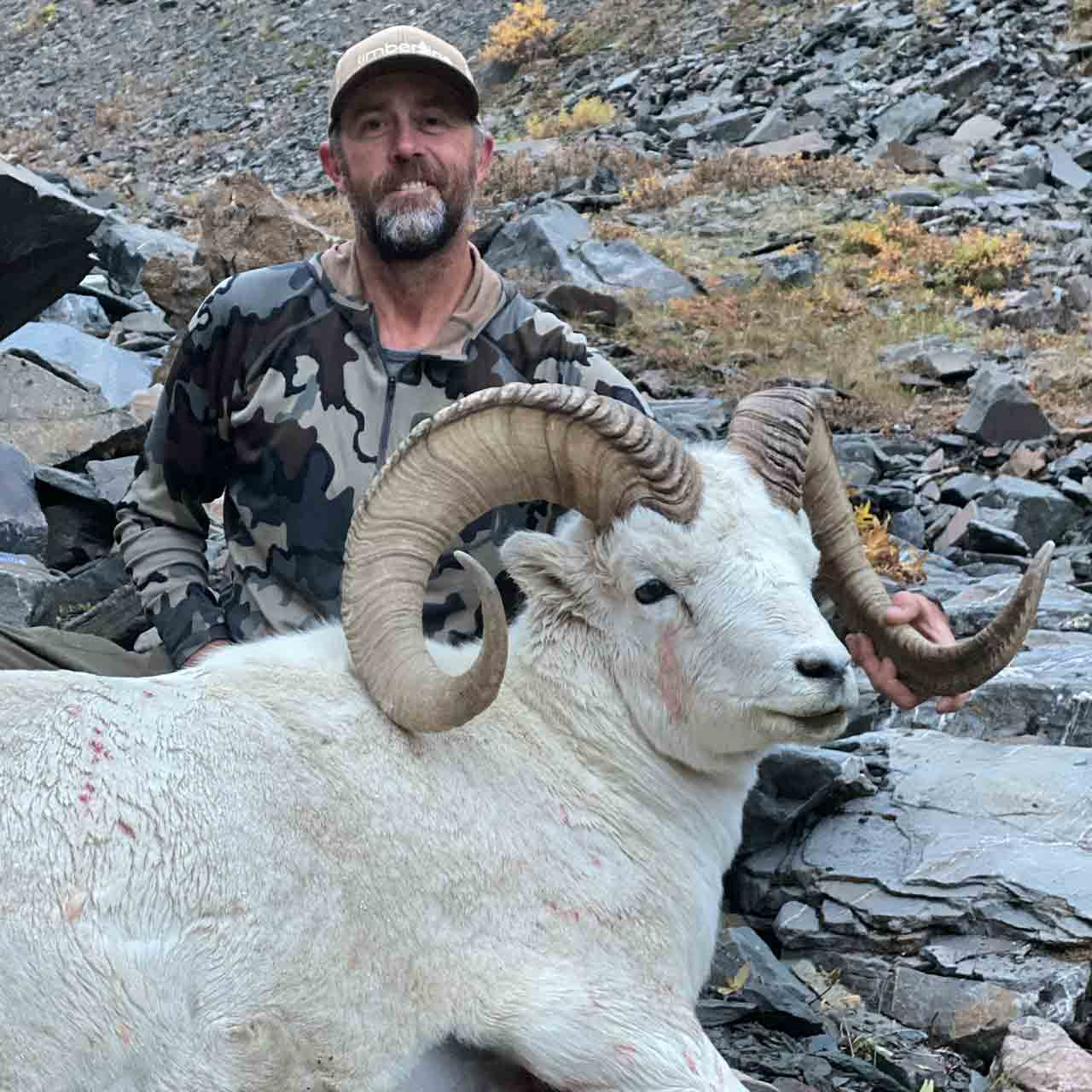 Alaska dall sheep hunt