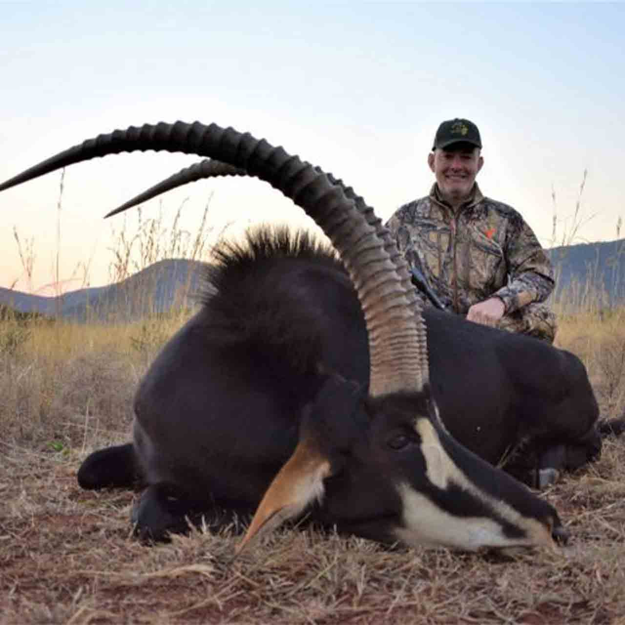Sable Antelope Bull Combo Hunt In South Africa