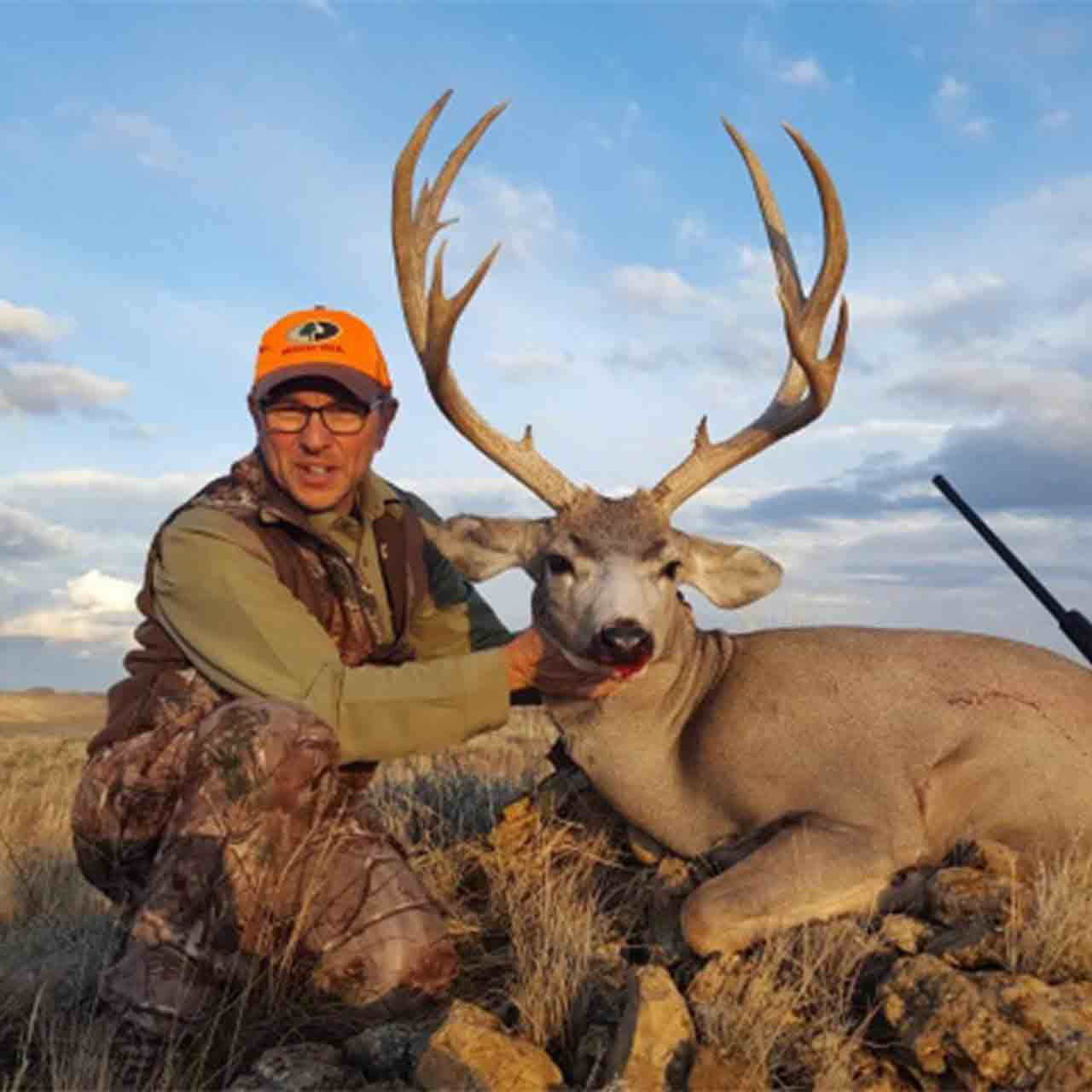 Mule Deer Rifle Hunt in Montana