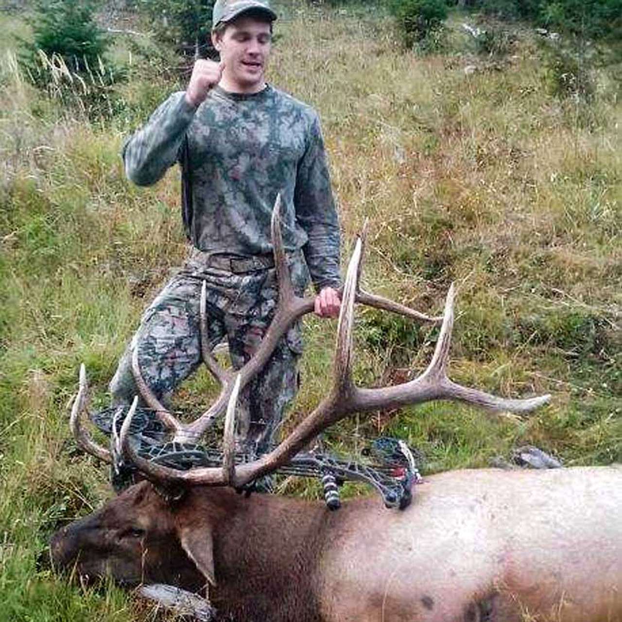 Archery elk hunt in Montana