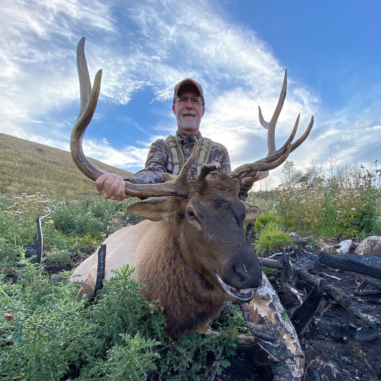 Elk hunting in Montana