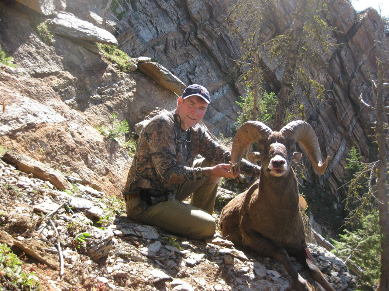 Rocky Mountain Bighorn Sheep Hunt