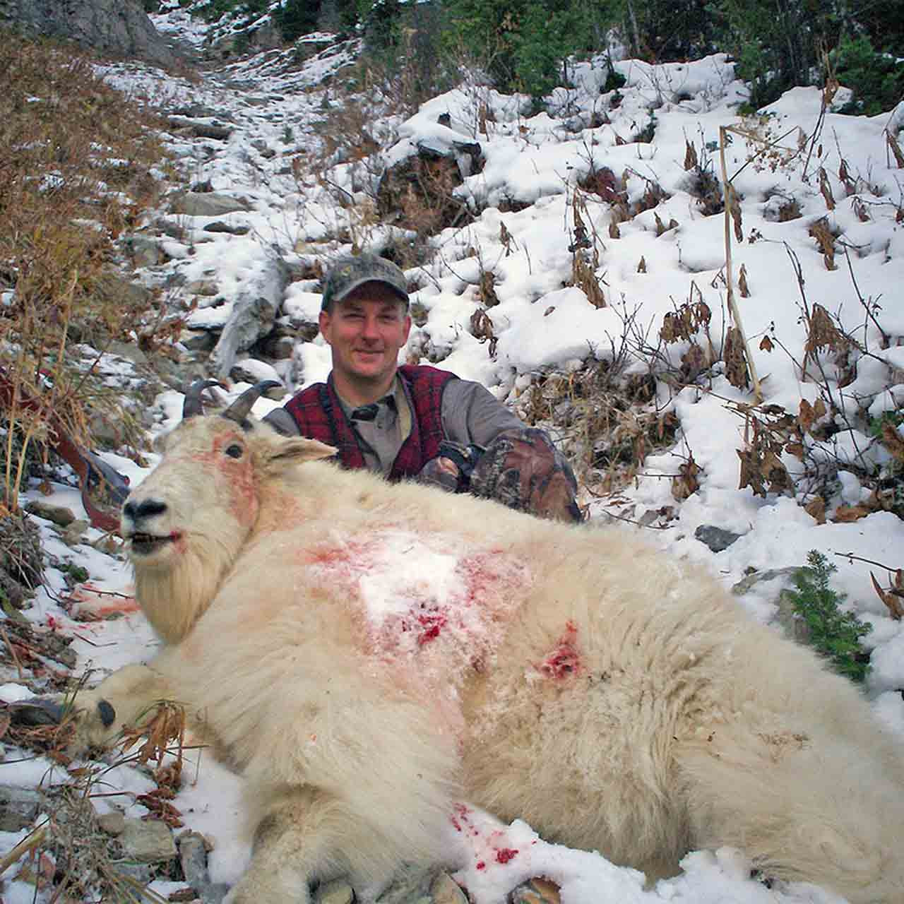 British Columbia Mountain Goat Hunts