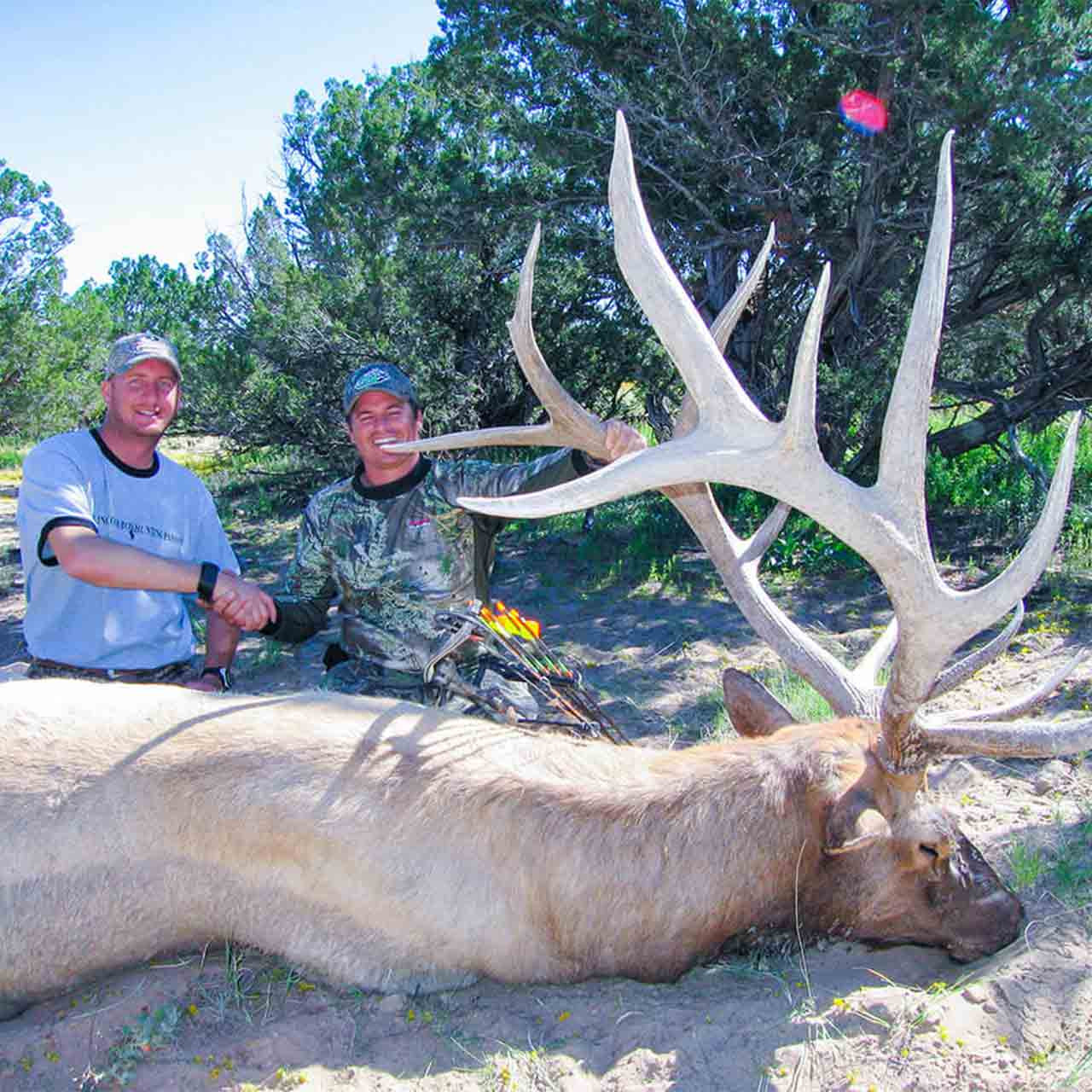 Archery elk hunts in New Mexico