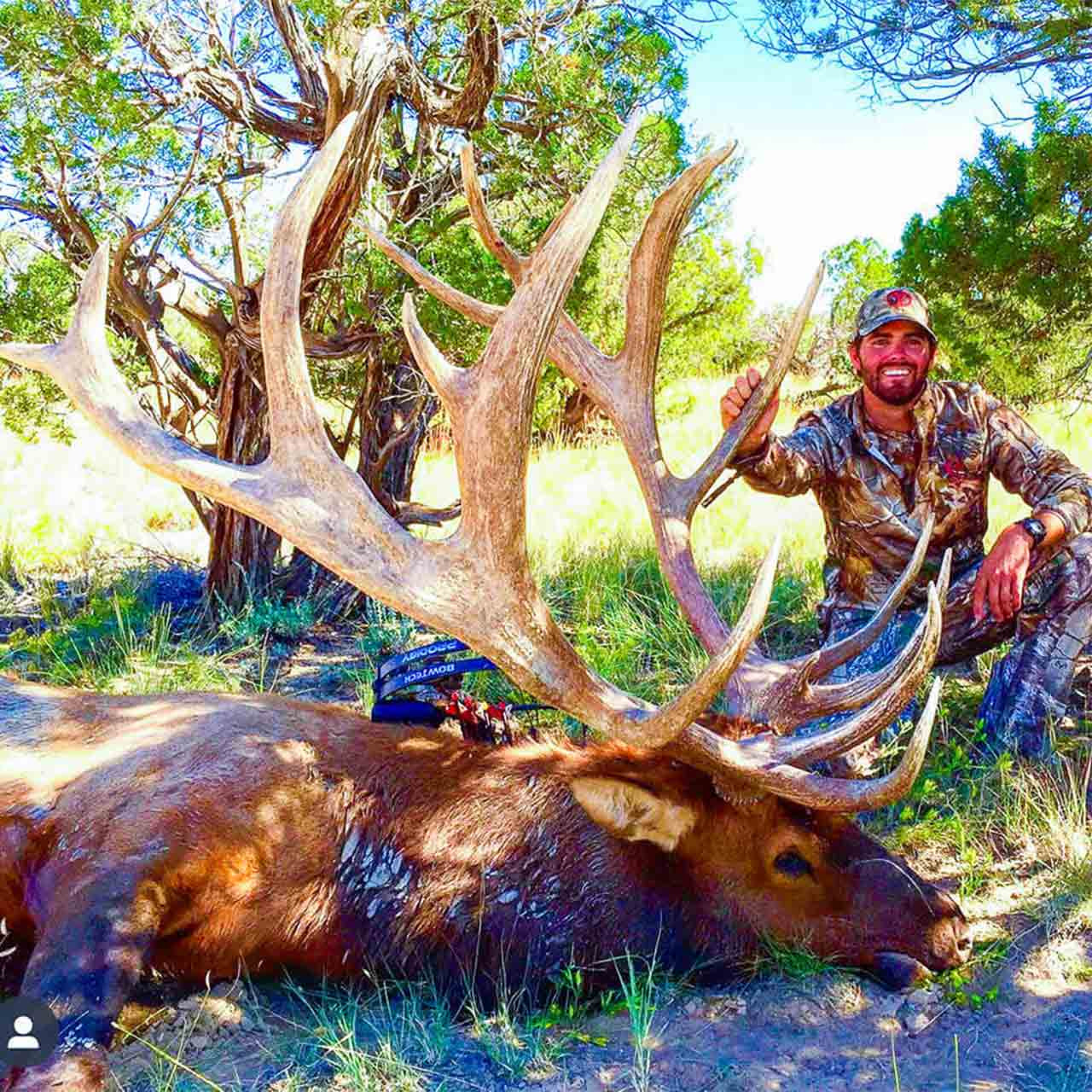 Elk Archery Hunt in New Mexico
