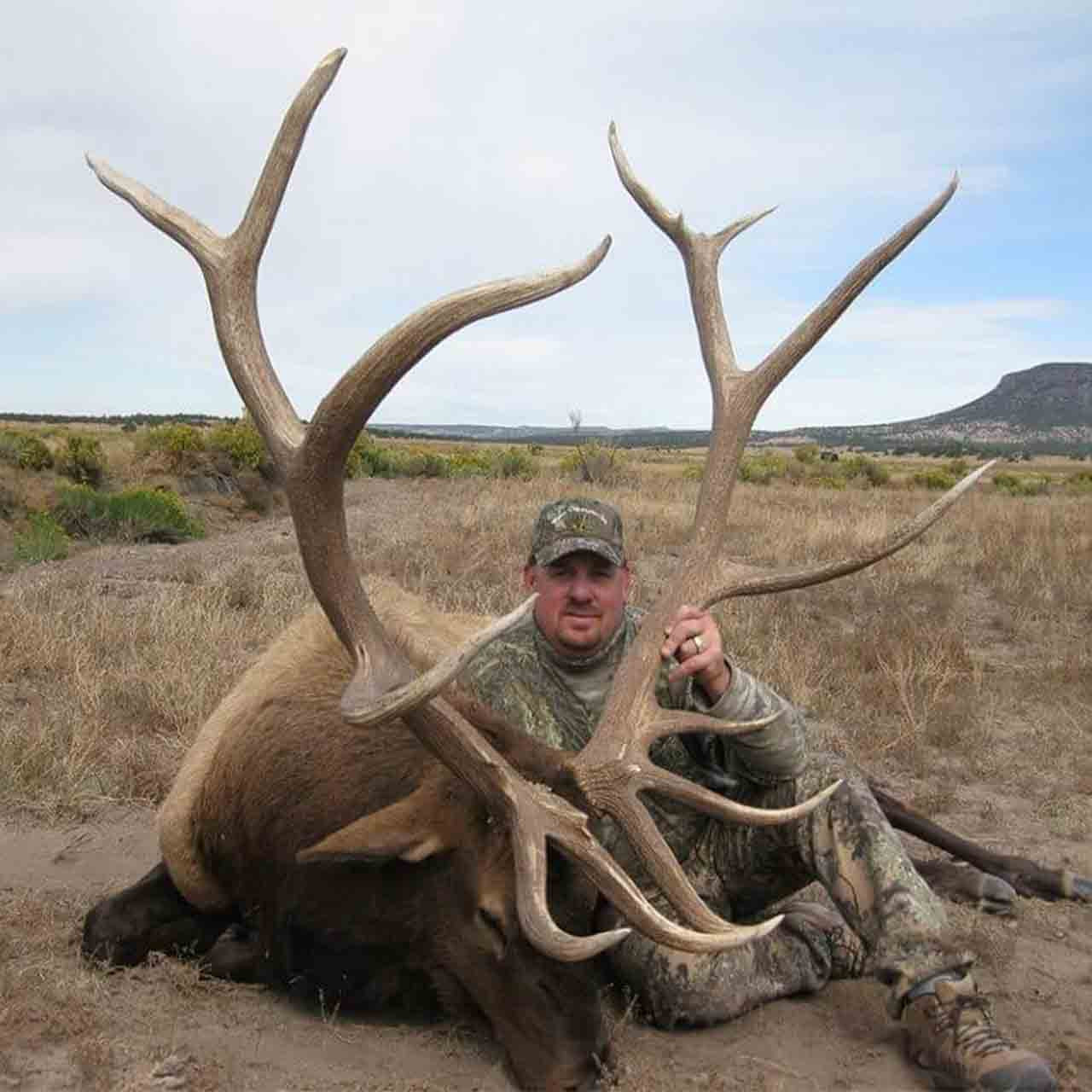 New Mexico Elk Hunting