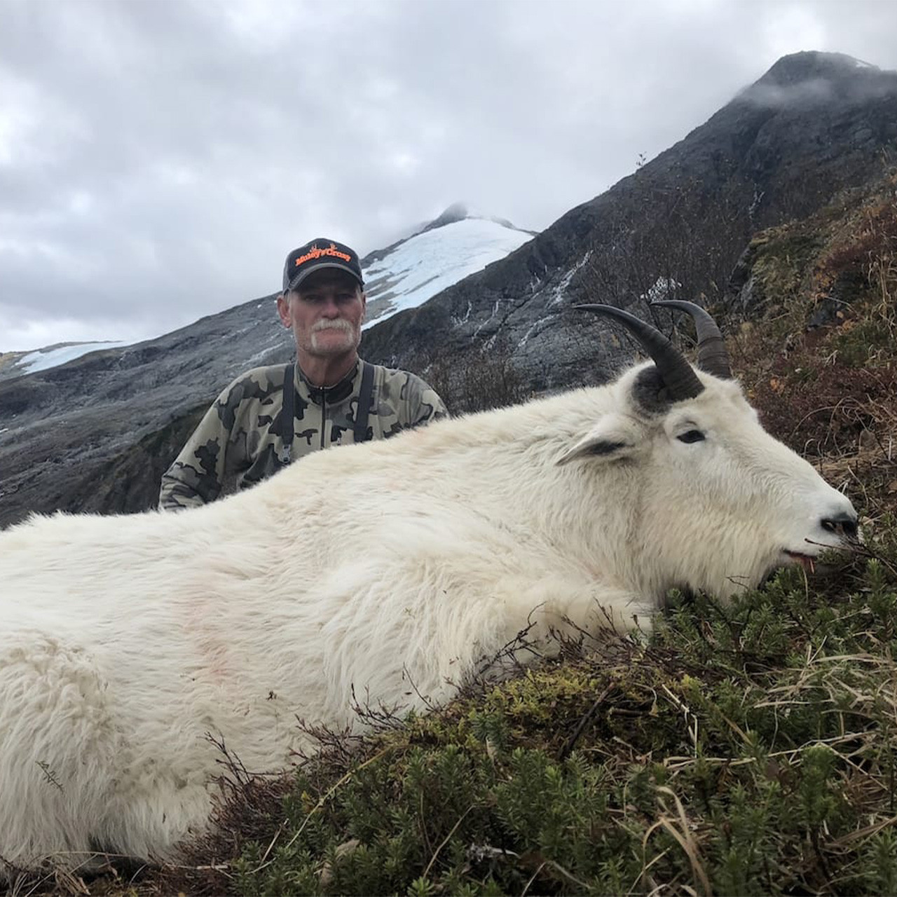 British Columbia mountain goat hunt