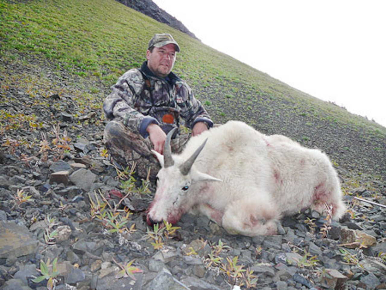 Mountain Goat Hunt in Canada