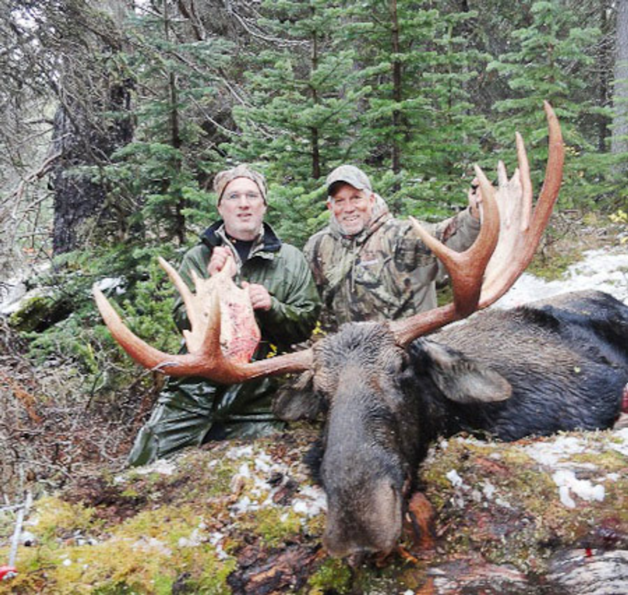 Moose & Mountain Goat Combo - British Columbia - 1084