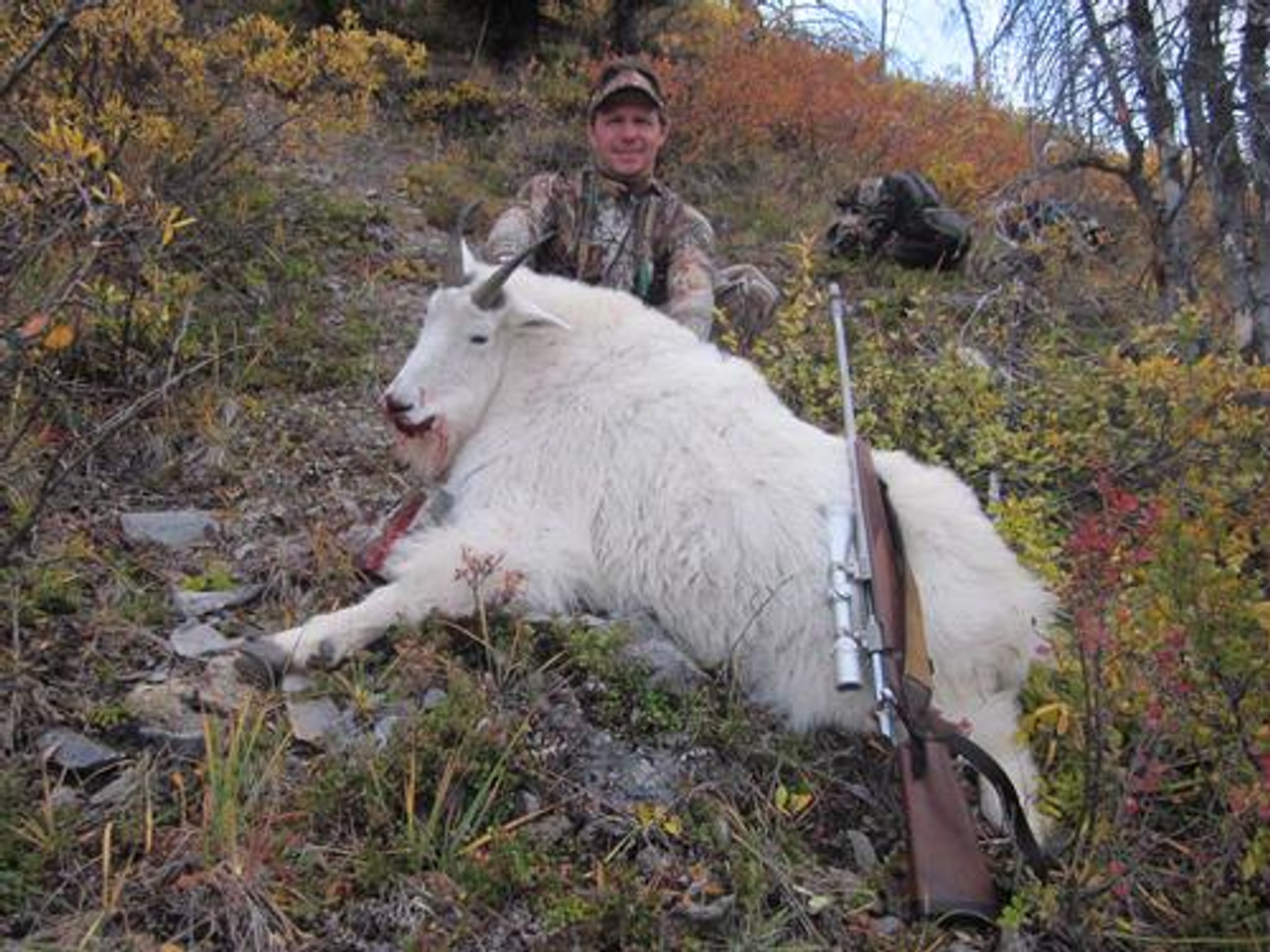 Mountain goat hunt in British Columbia