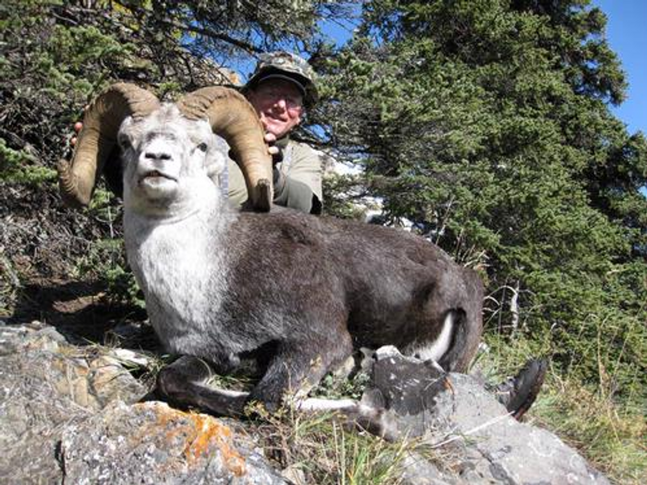 Stone Sheep hunt in British Columbia