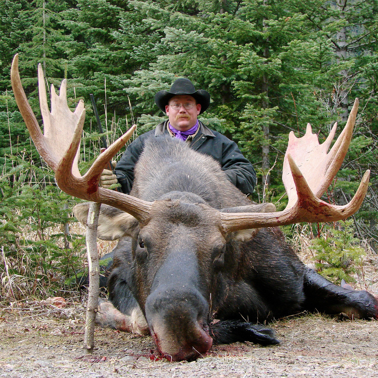 Shiras Moose Hunt in British Columbia