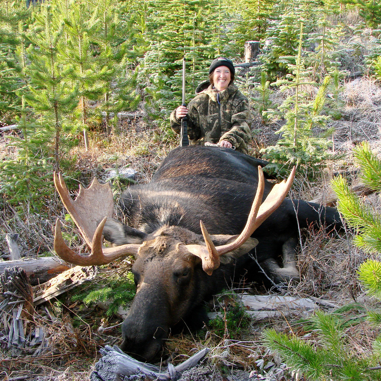 Moose hunt in B.C.