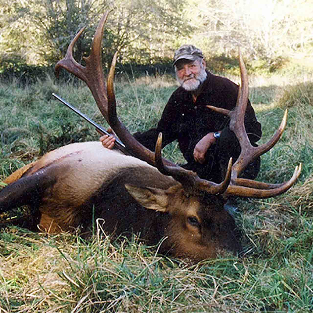 Vancouver Island Roosevelt Elk Hunt