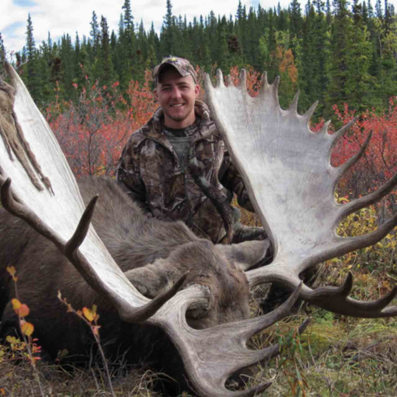 Yukon Moose hunt in Yukon, Canada