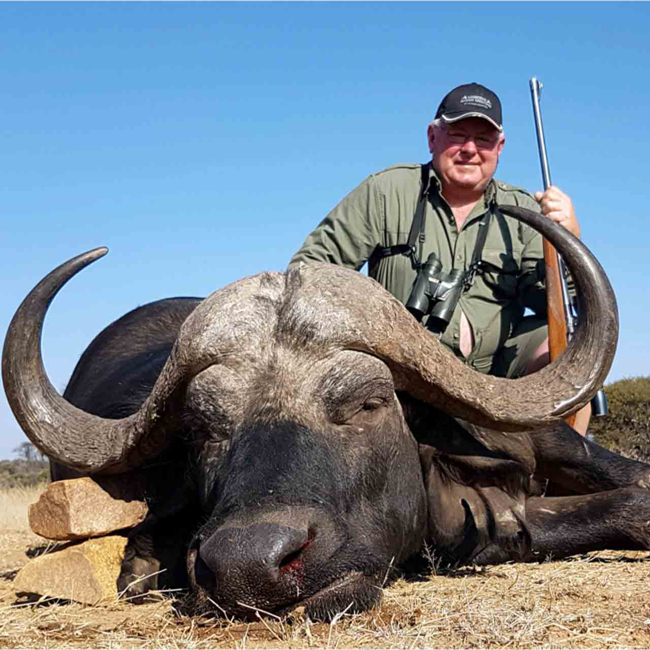 Cape Buffalo Hunt in South Africa