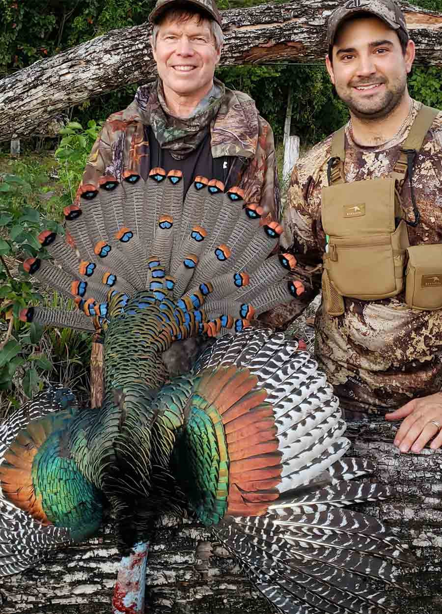 Ocellated Turkey Hunt in Mexico