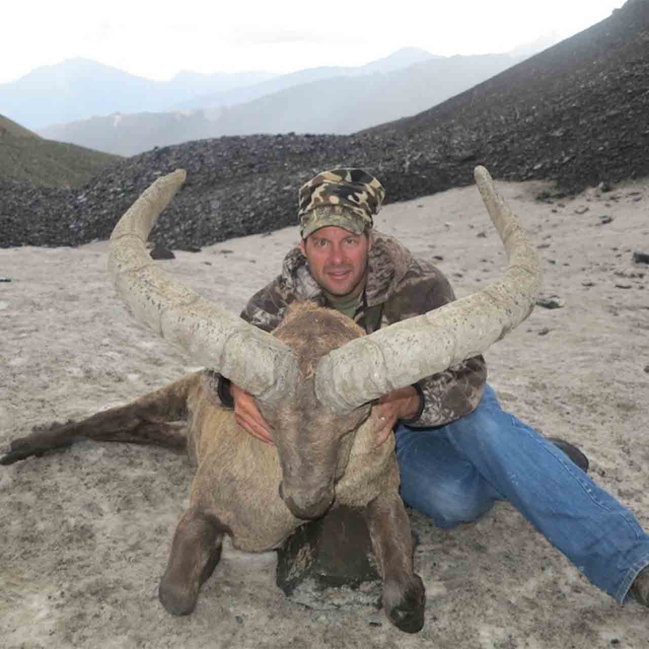 Dagestan Tur Hunt In Russia