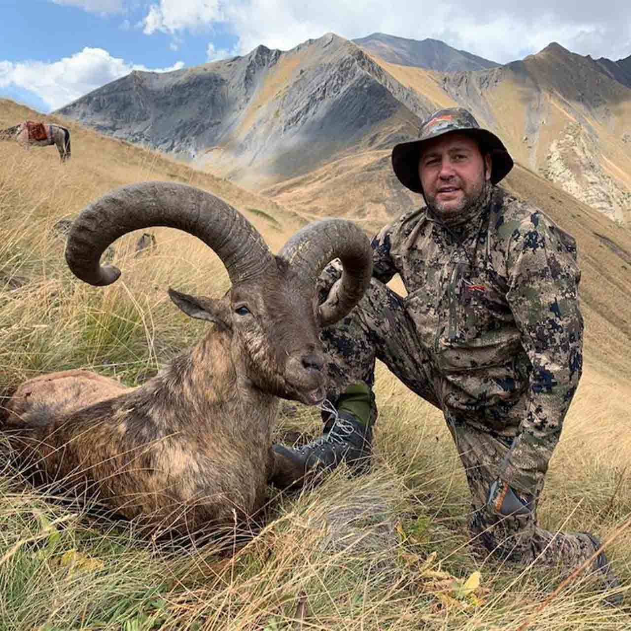 Dagestan Tur Hunt In Russia