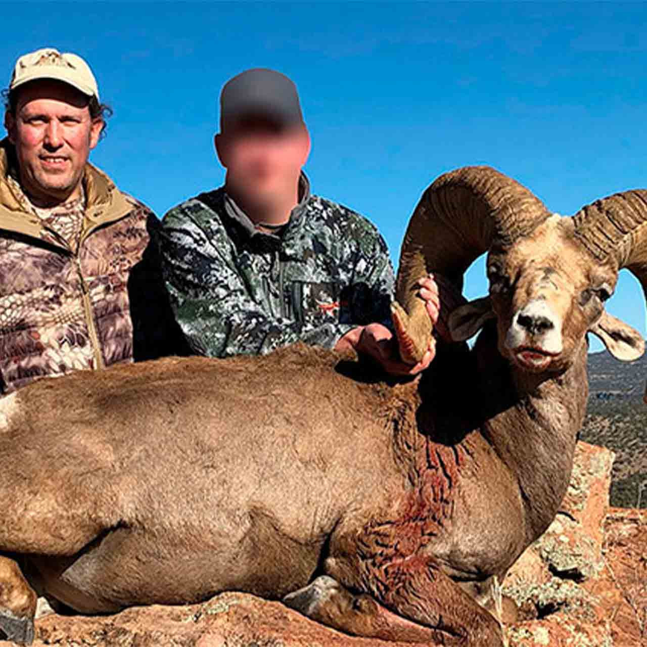 Desert sheep hunt in Sonora, Mexico