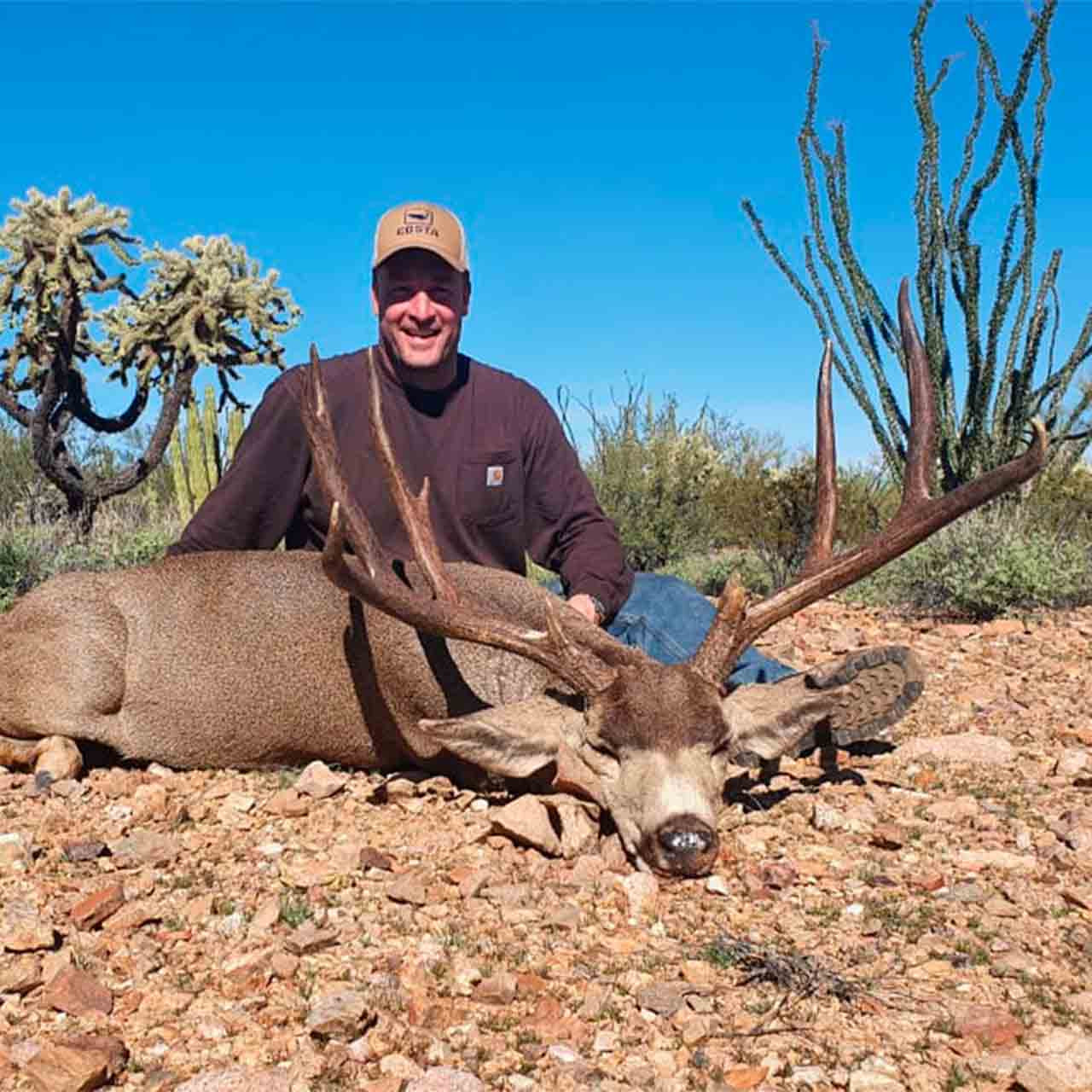 Sonora desert mule deer hunts