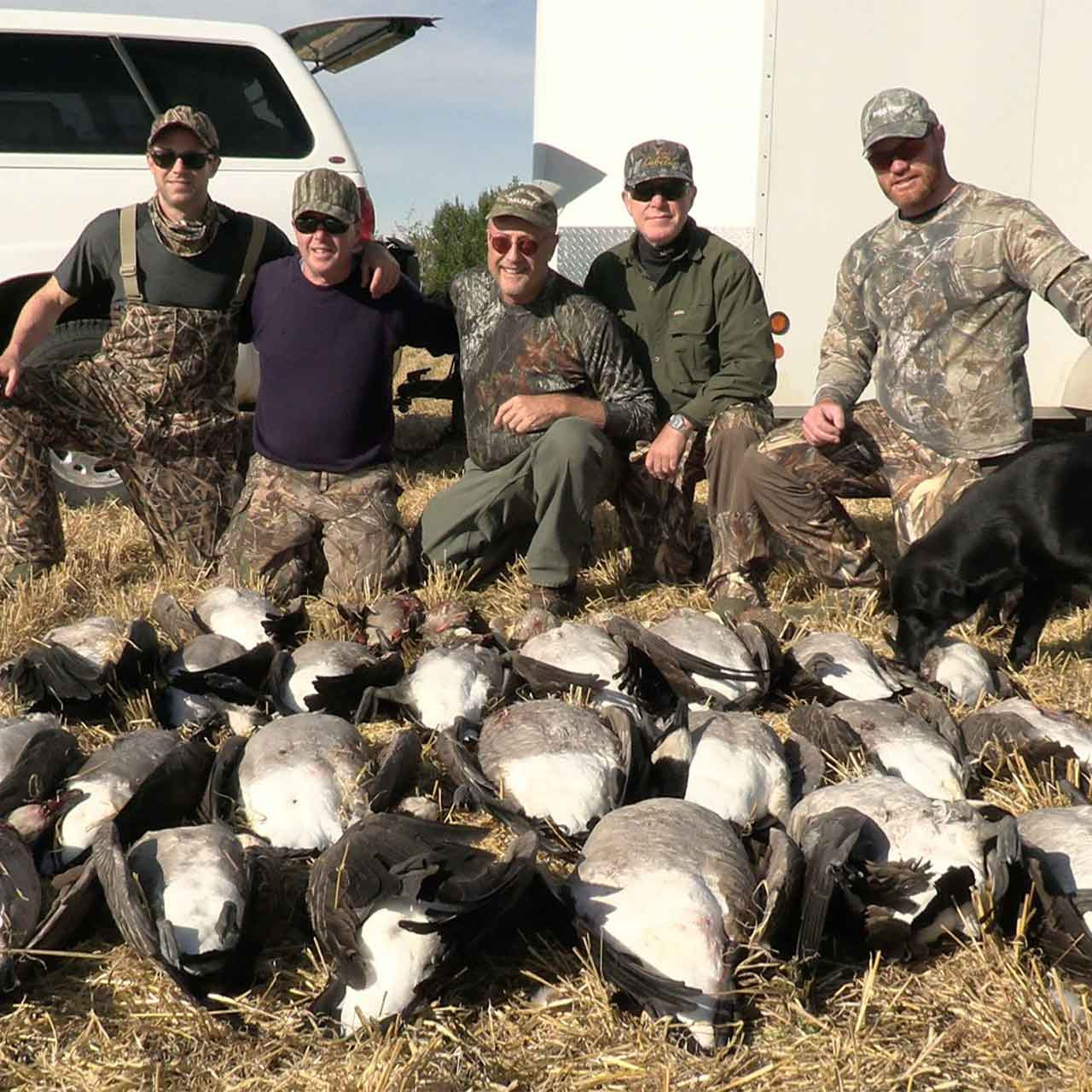 Waterfowl Hunting in Alberta