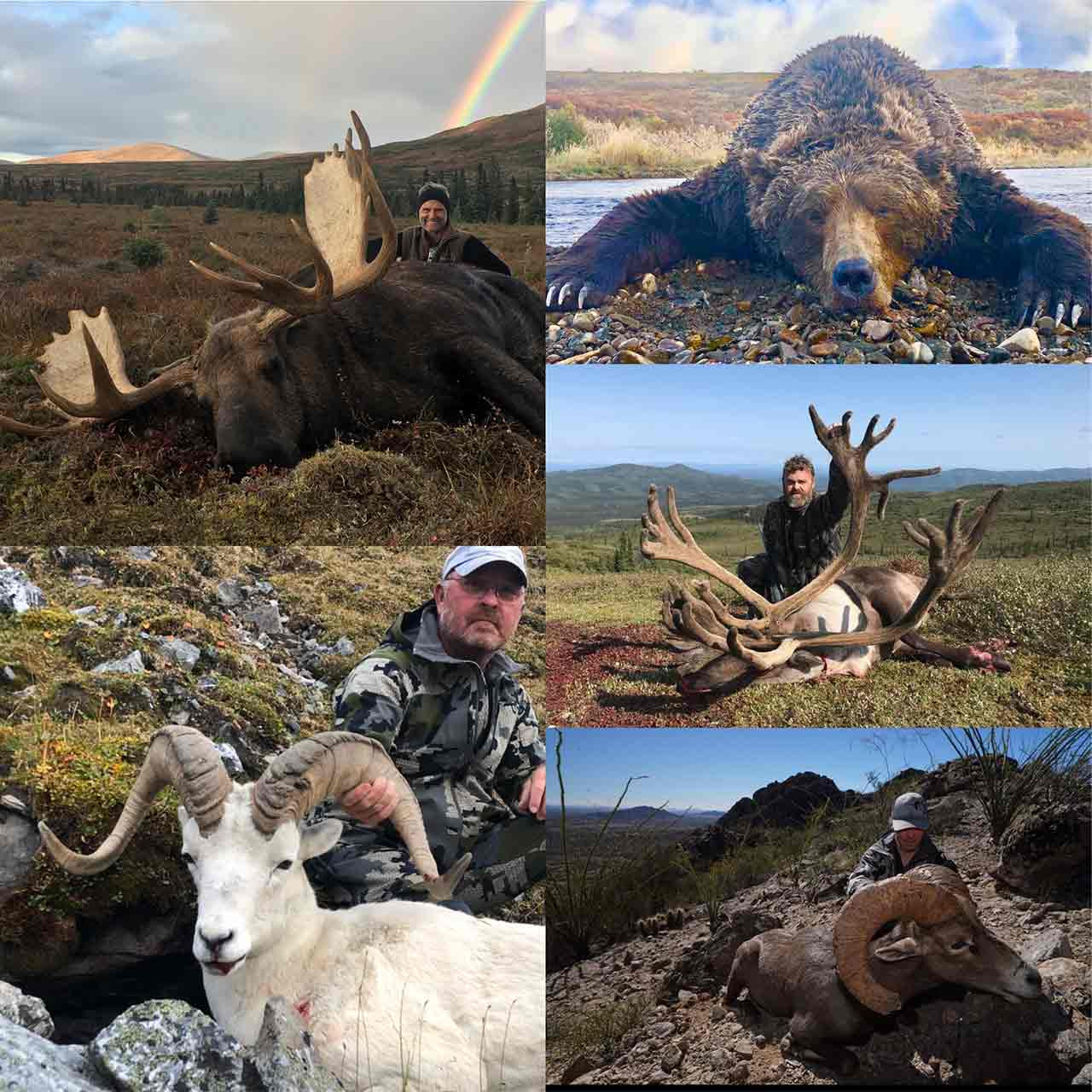 Fully guided caribou combo hunt in Alaska.