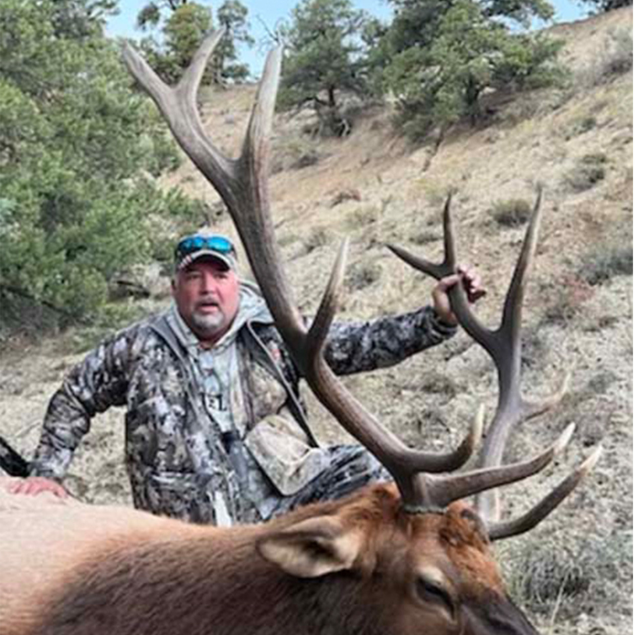 Elk Rifle hunt in New Mexico