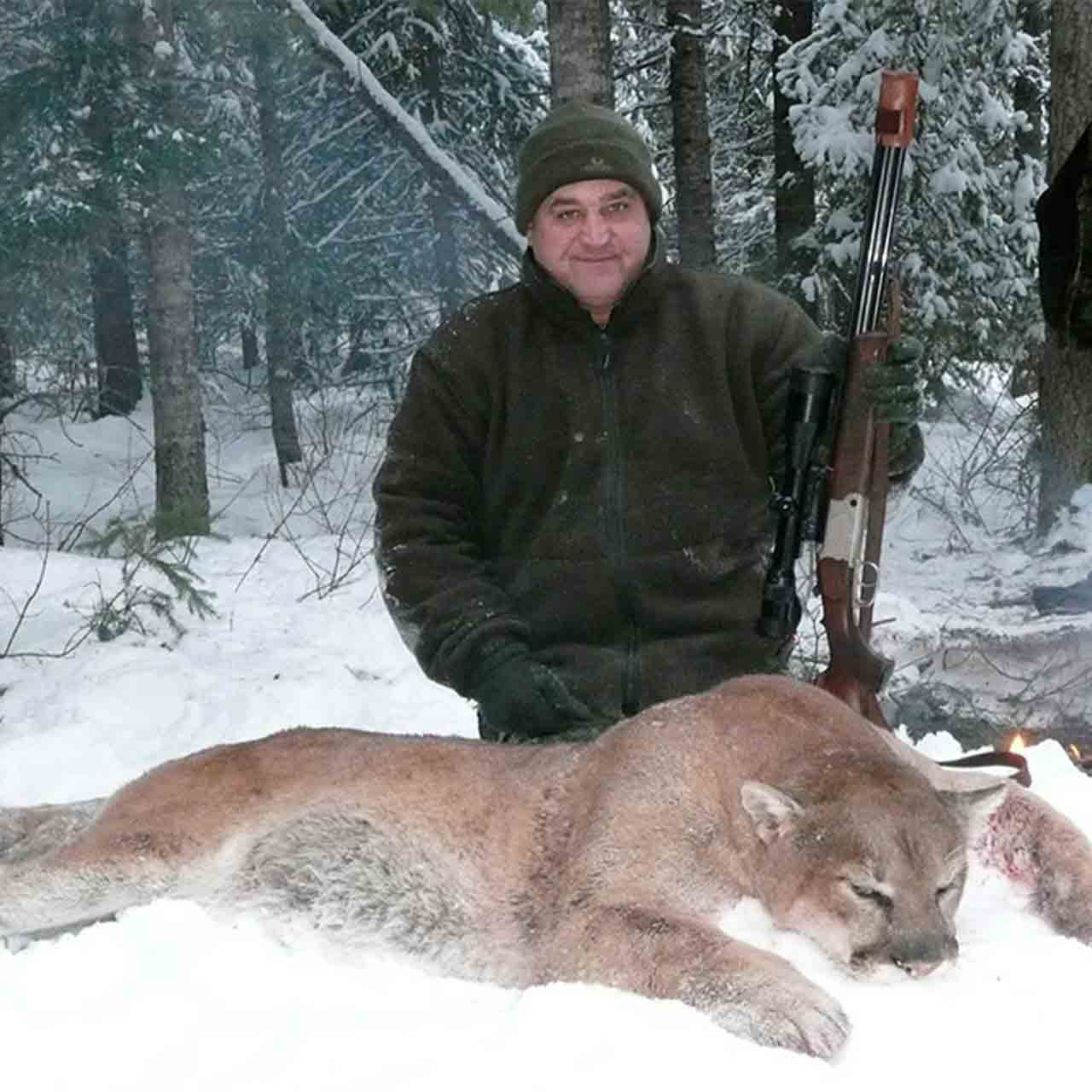 Mountain Lion - British Columbia - 1055