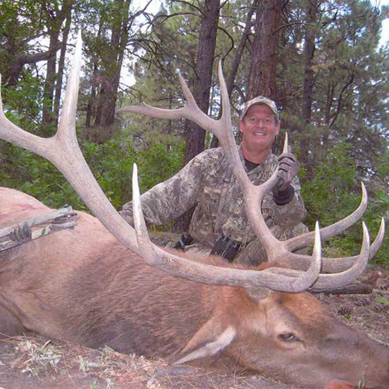 Elk Archery Hunt in New Mexico