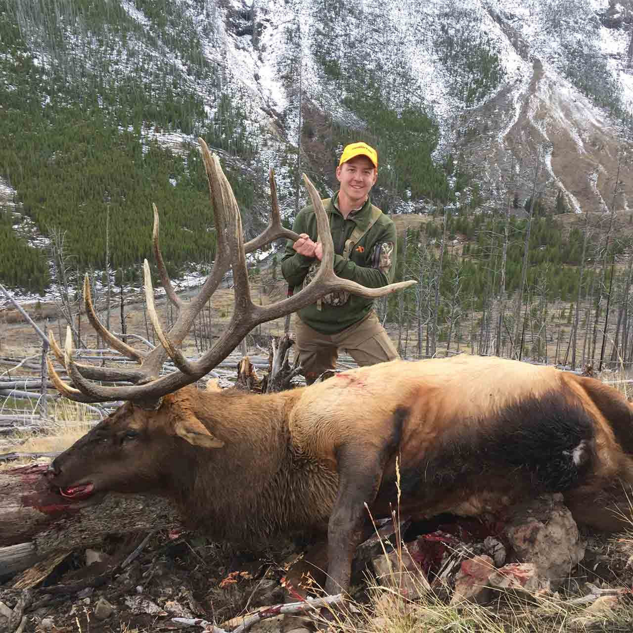 Wyoming elk hunt