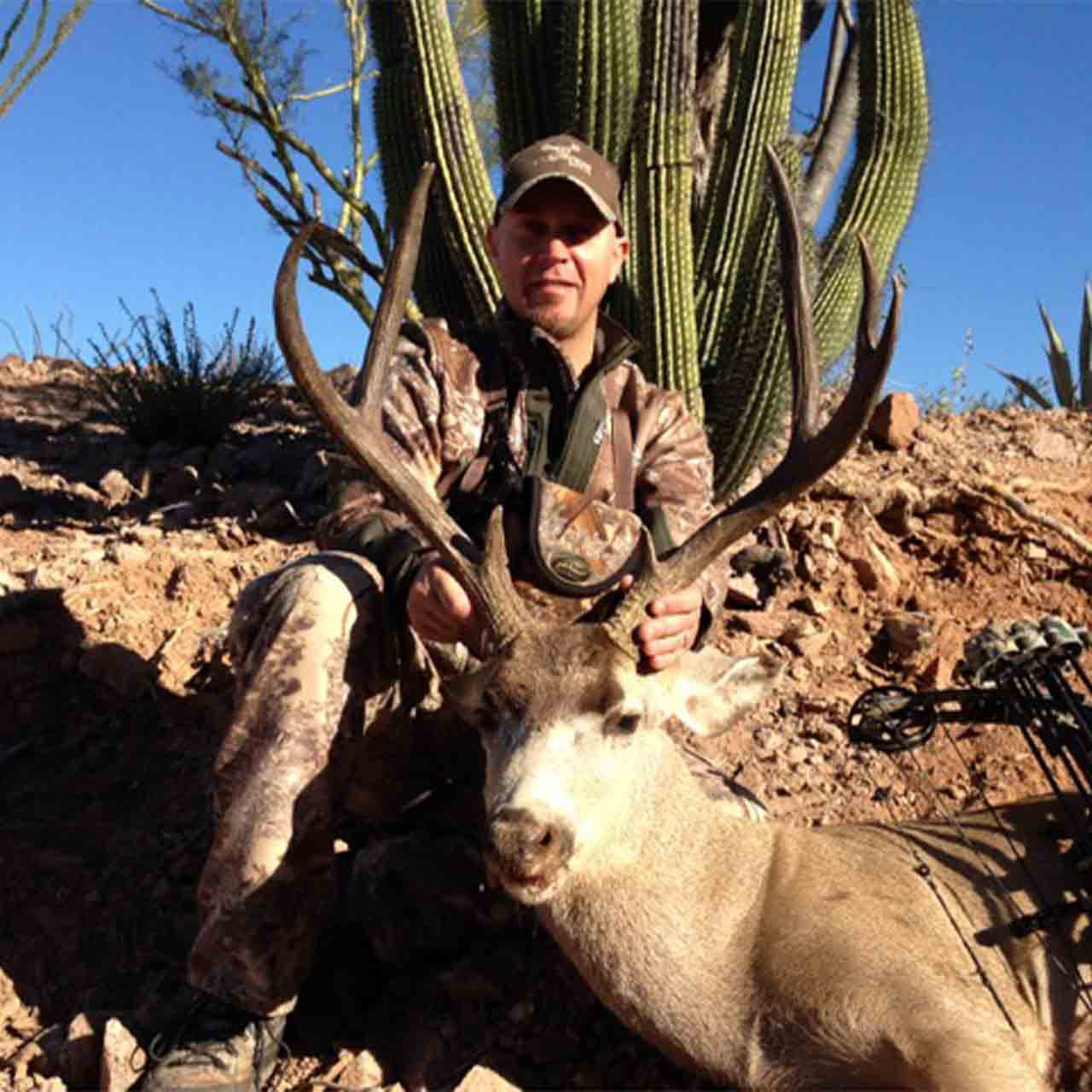 Mule Deer, Free Range - Mexico - 1173