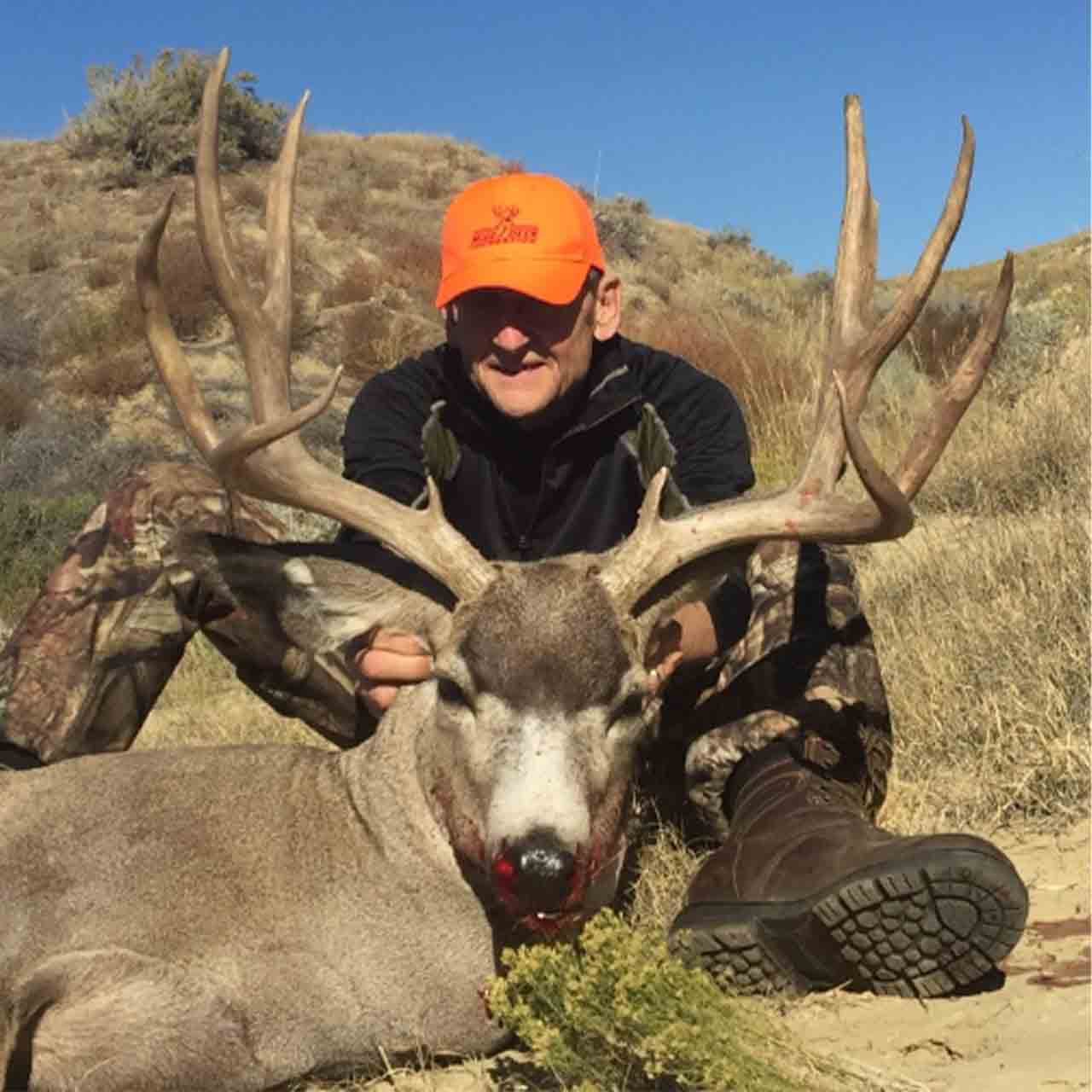 Mule deer hunt in Wyoming