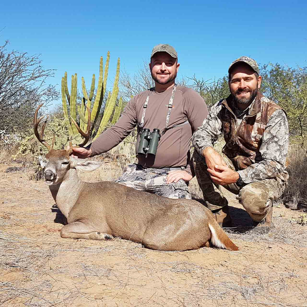 Coues deer hunts in Sonora, Mexico. 