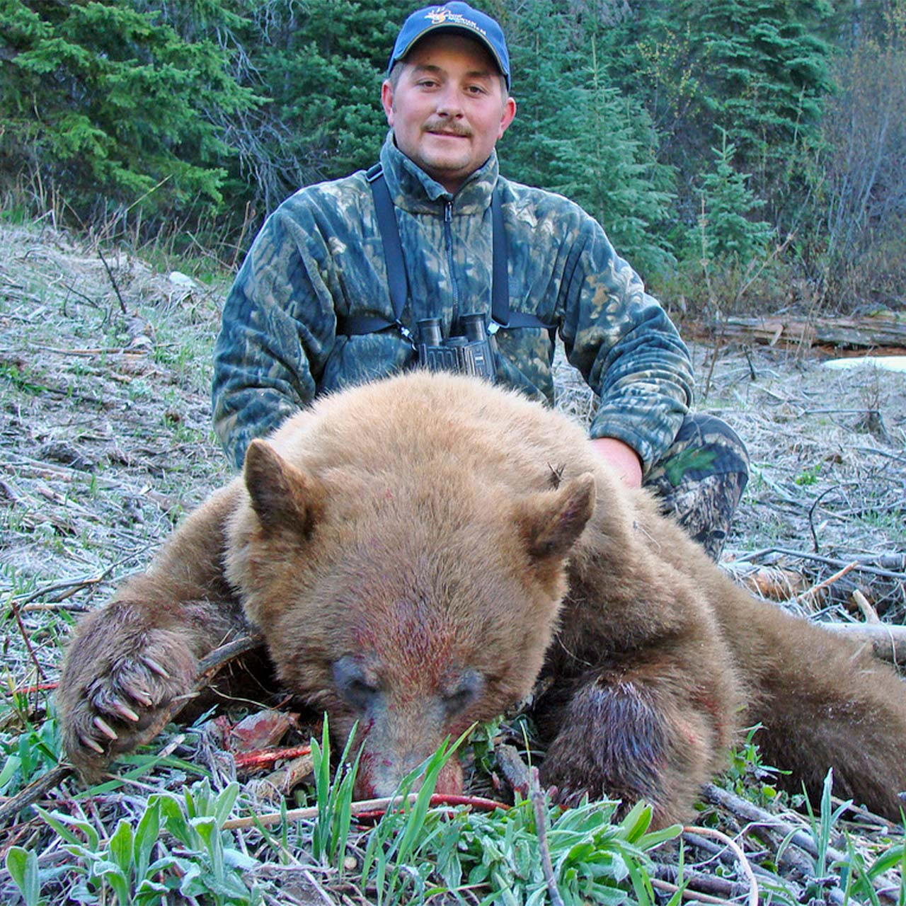 Spring Bear Hunt in British Columbia