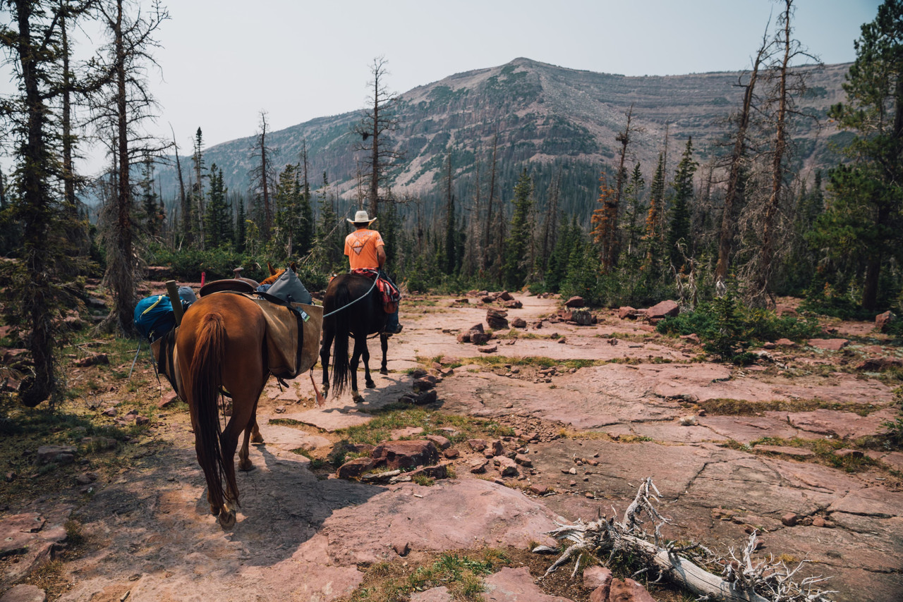 Elk Archery Wilderness PackIn Hunt in Utah