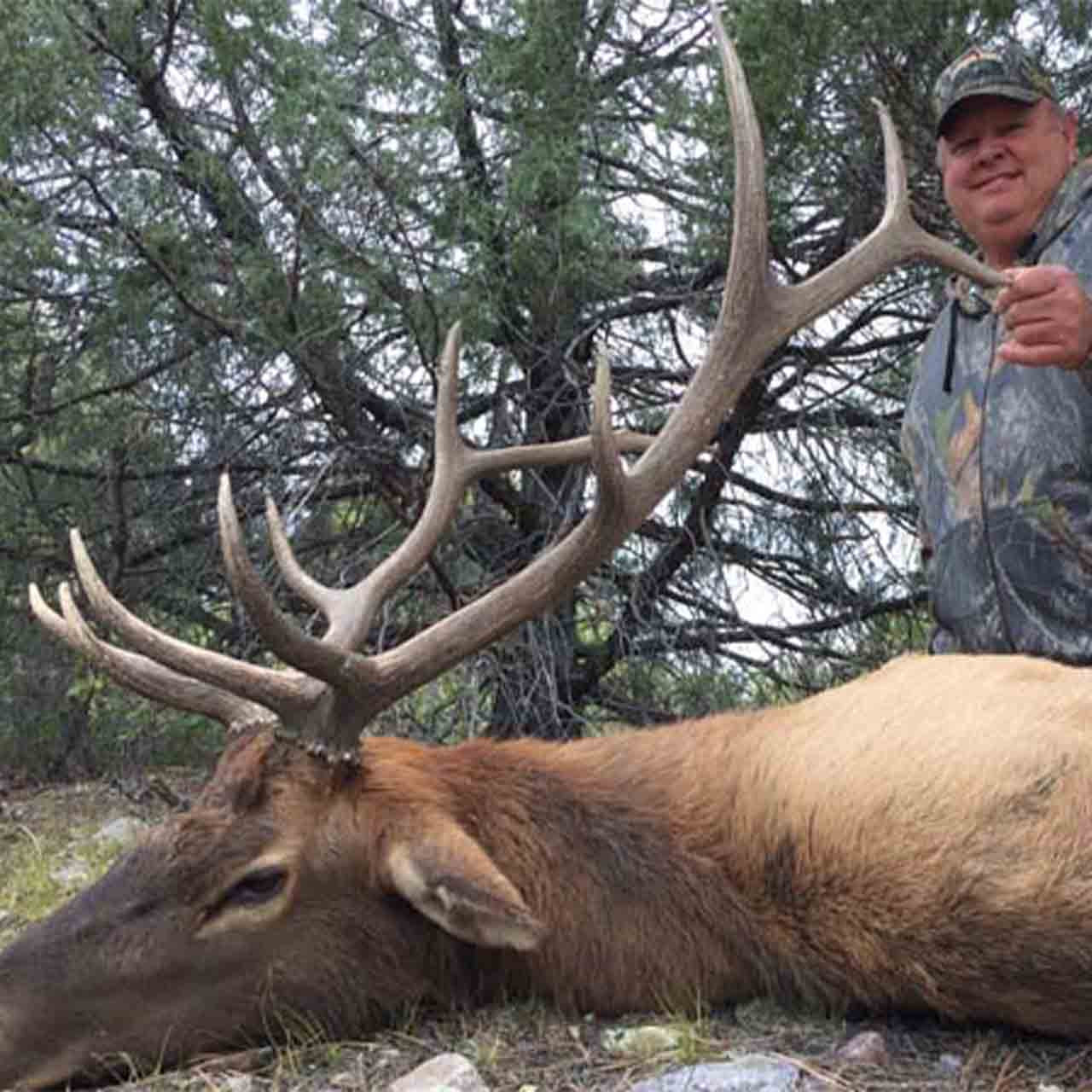 Elk Archery Hunt in New Mexico