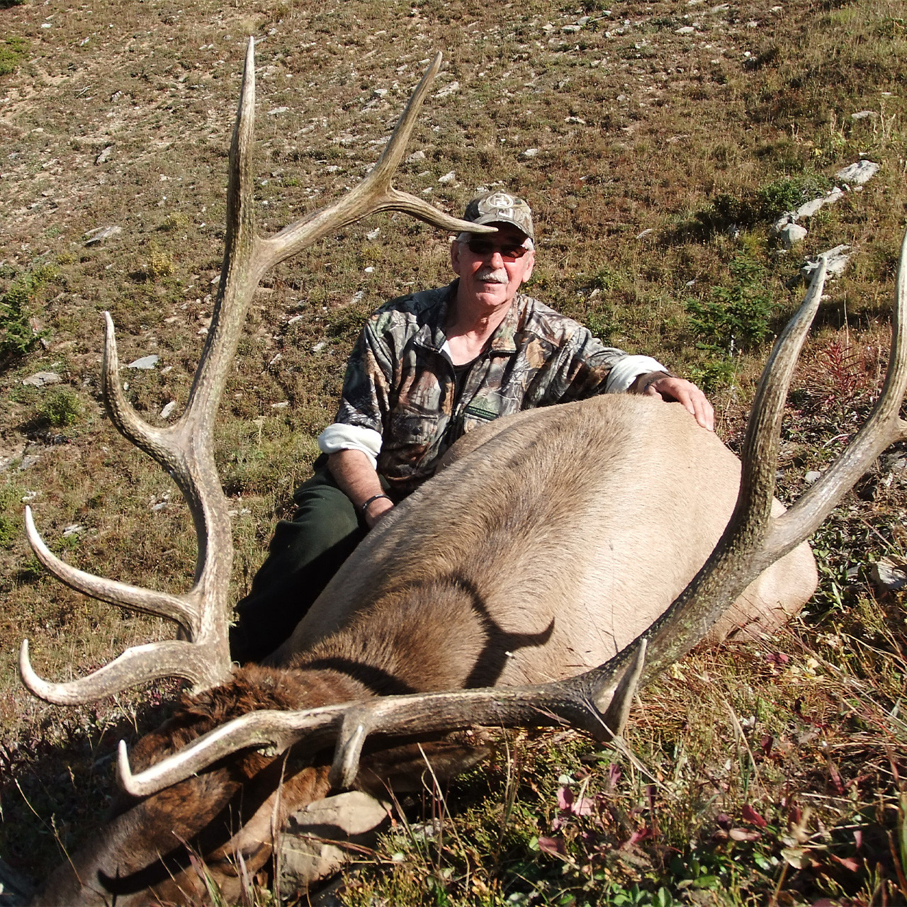 Elk Hunt In British Columbia
