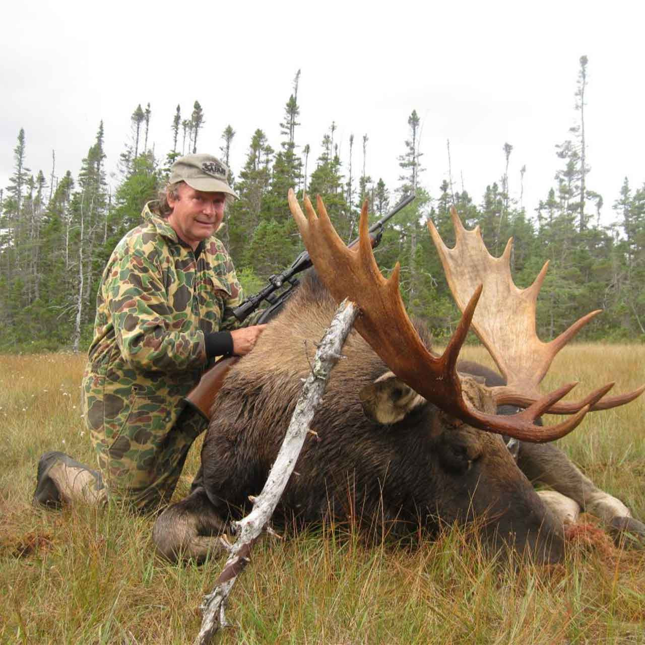 Remote Wilderness Trophy Moose   - Eastern Canada - 1174